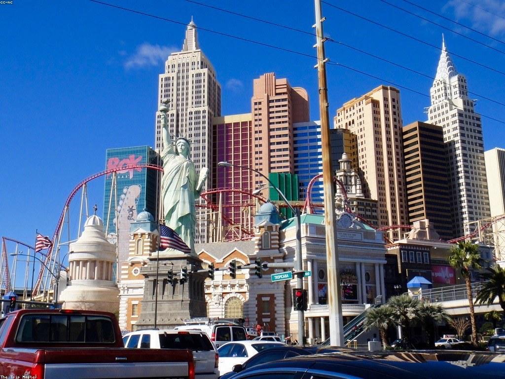 ααΆαααααα½αααΆαααΈααΌα ααααΎαααΆααα·ααα»αααααΆαααααααΎααααΈαααα