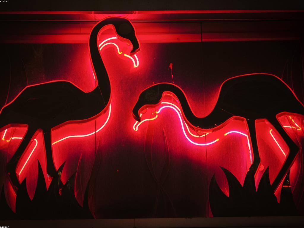 និន្នាការបច្ចេកវិទ្យាកាស៊ីណូថ្មីៗ